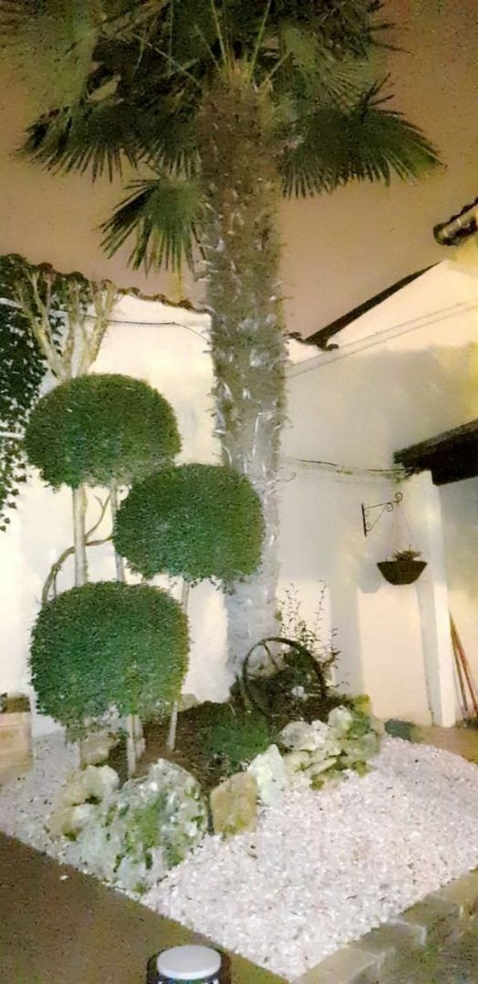 Une plantation et une rocaille avec luminaire